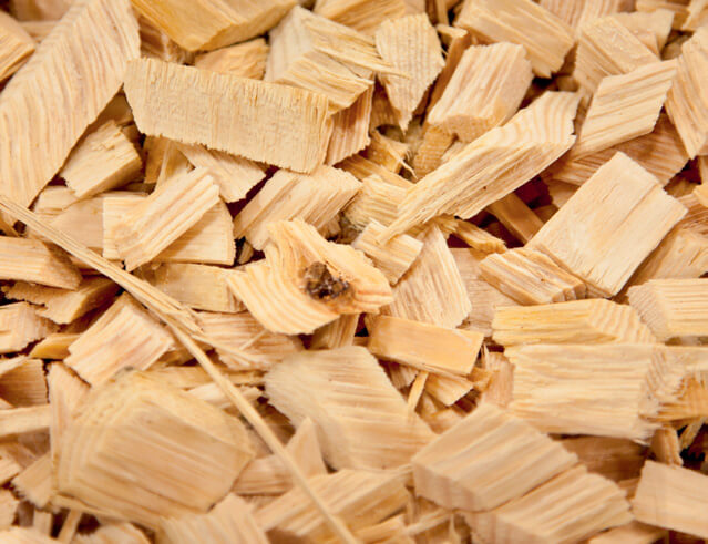 Holztrocknung